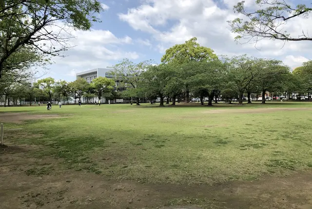 宮崎中央公園の市民芝生広場