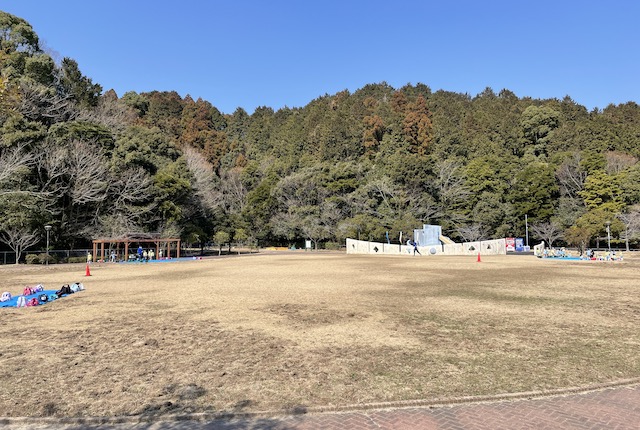 筑紫野市総合公園の芝生広場