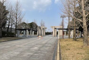 久留米百年公園（福岡県）桜とツツジの公園