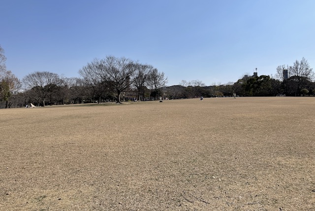 春日公園の芝生広場