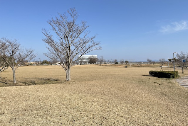 佐賀空港公園の芝生広場