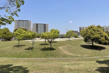 箱崎公園（福岡市東区）大小さまざまなすべり台が人気