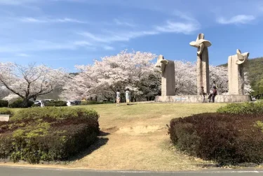 一本松公園 （熊本県山鹿市）高低差のある桜の花見スポット