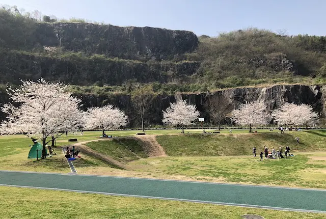 石神山公園の桜