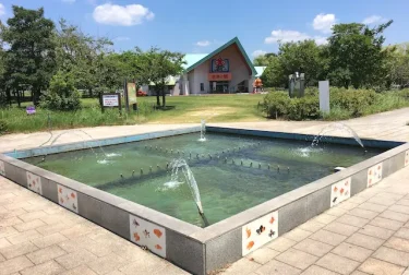 金魚と鯉の郷広場（熊本県長洲町）水遊びと遊具充実の公園