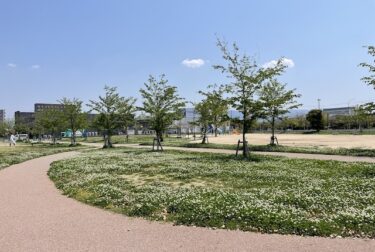 大井中央公園（福岡市博多区）飛行機とアートの公園