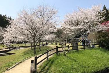 小野泉水公園（熊本市）小野小町の生誕にまつわる公園