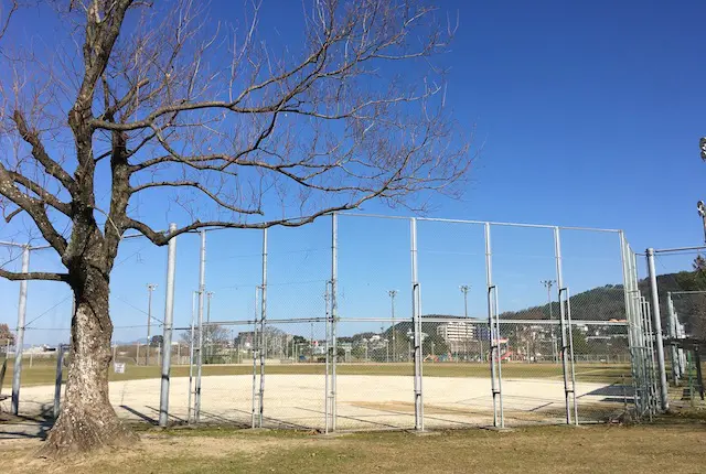 坪井川緑地公園の野球場
