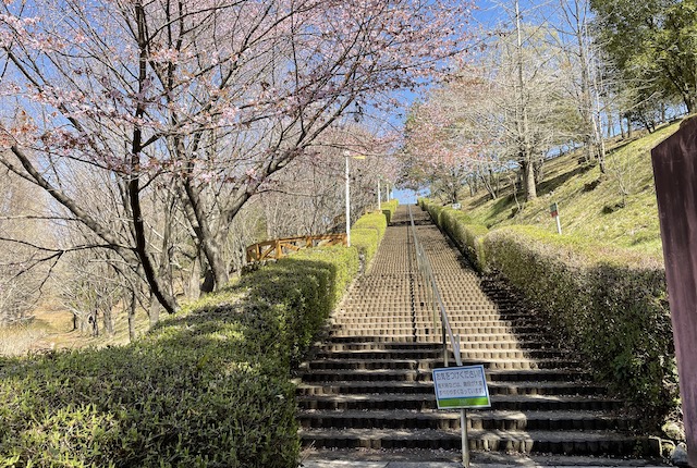夜須高原記念の森の階段
