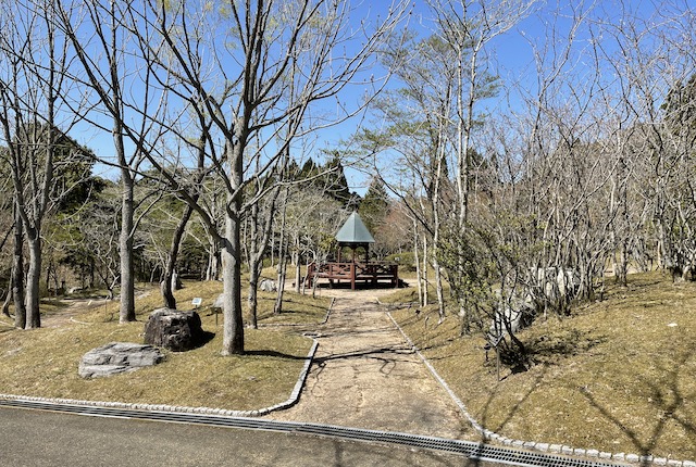 夜須高原記念の森の展示林