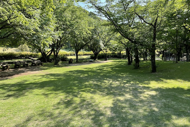熊本県民総合運動公園ちびっこ広場の芝生スペース