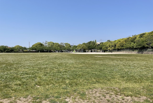 桧原運動公園の芝生広場