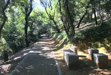 飯高山公園（熊本県合志市）光の森の先の里山公園