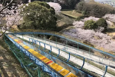 岡岳公園（熊本県宇城市）80ｍのローラースライダーと桜