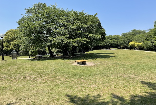 西南杜の湖畔公園の芝生広場