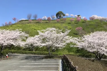 菊池公園（熊本県）季節を感じられる大型公園