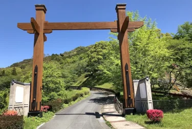 大津山公園（熊本県南関町）富士の麓の桜公園