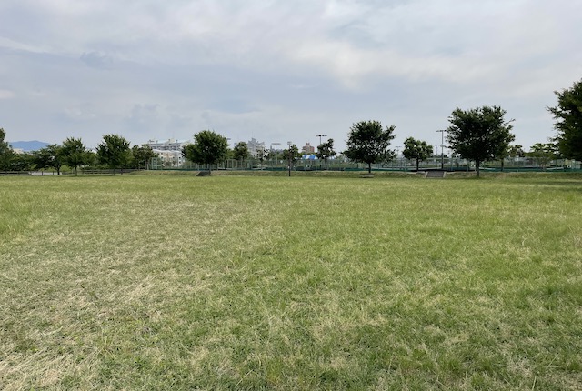 新宝満川公園の芝生広場
