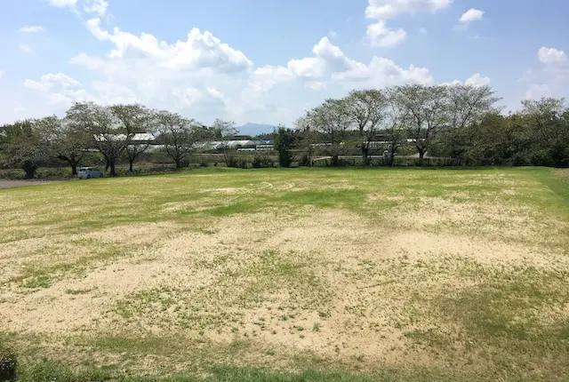 泗水グラウンドの芝生広場