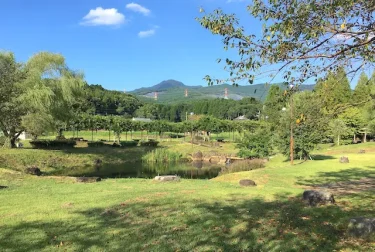 矢護川公園（熊本県大津町）湧水流れる水遊びスポット