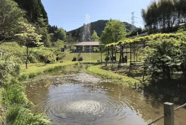 鹿央古代の森公園（熊本県山鹿市）春の藤棚と初夏のハス園