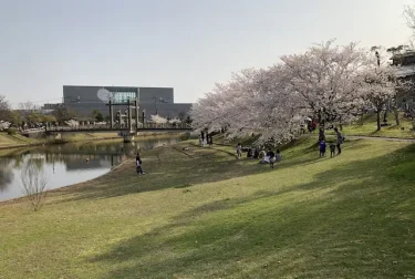松江市北公園（島根県）桜の綺麗な運動公園