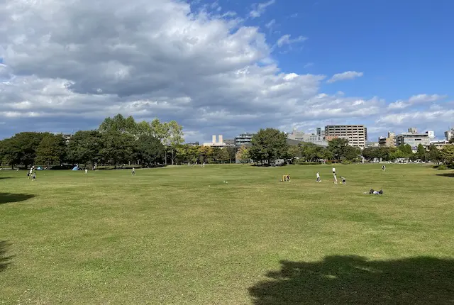 七北田公園の芝生広場