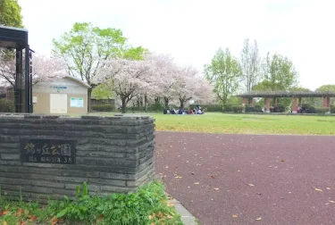 錦ヶ丘公園（熊本市東区）尾ノ上小学校の隣の桜スポット