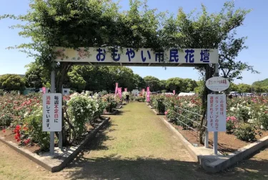 おもやい市民花壇（熊本県荒尾市）ボランティア運営のバラ園