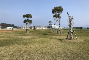 大矢崎緑地公園（熊本県天草市）広大な芝生公園