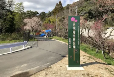 谷尾崎梅林公園（熊本市西区）梅の名所と宮本武蔵伝説