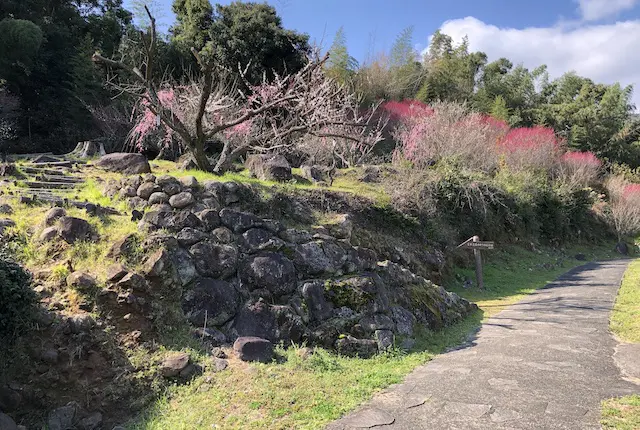 谷尾崎梅林公園の坐禅石