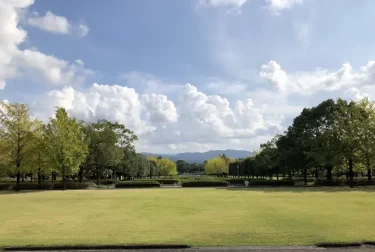 テクノ中央緑地（熊本県益城町）銀杏の紅葉スポット