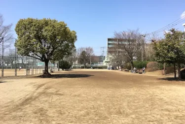 渡鹿公園（熊本市中央区）産業道路沿いの野球場