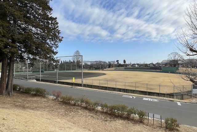 栃木県総合運動公園の野球場