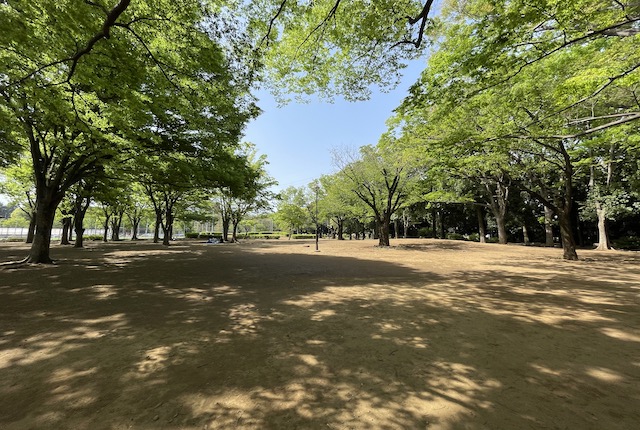 駒沢オリンピック公園の自由広場
