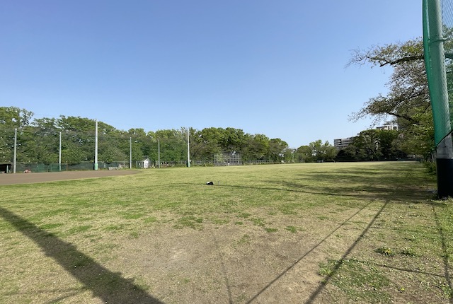 駒沢オリンピック公園の軟式野球場