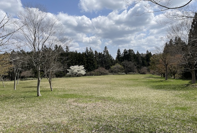 秋田県立中央公園の芝生広場