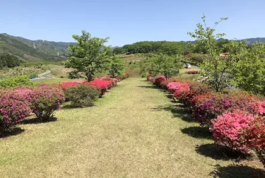 丸岡公園（熊本県）山江村のツツジの名所
