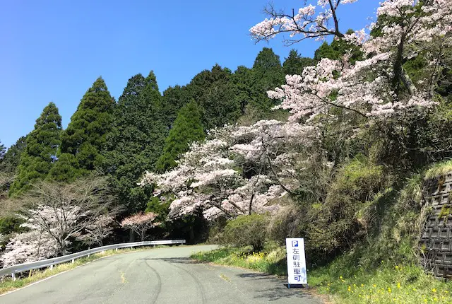 高森峠千本桜の路上駐車スペース