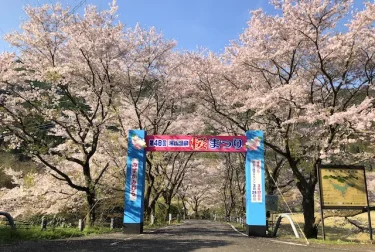 湯山温泉桜まつり