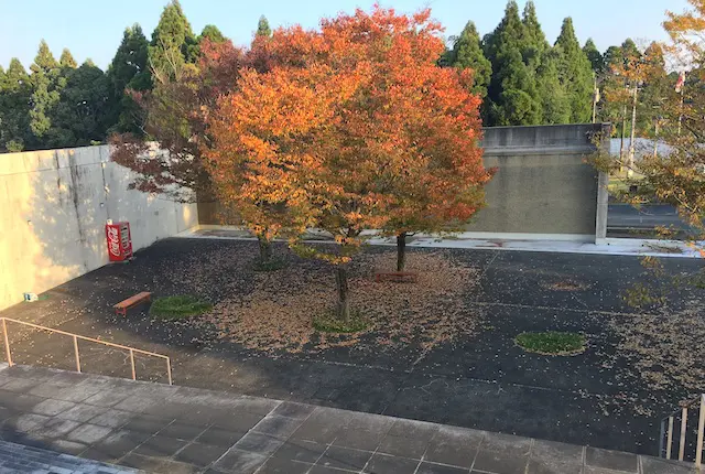熊本県立装飾古墳館の紅葉