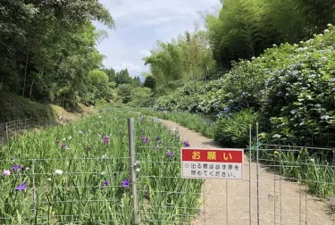 天子の水公園（熊本県あさぎり町）
